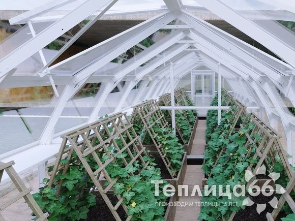 Теплица Рада Нева под стекло, ширина 2.65 метра (Калькулятор теплицы)